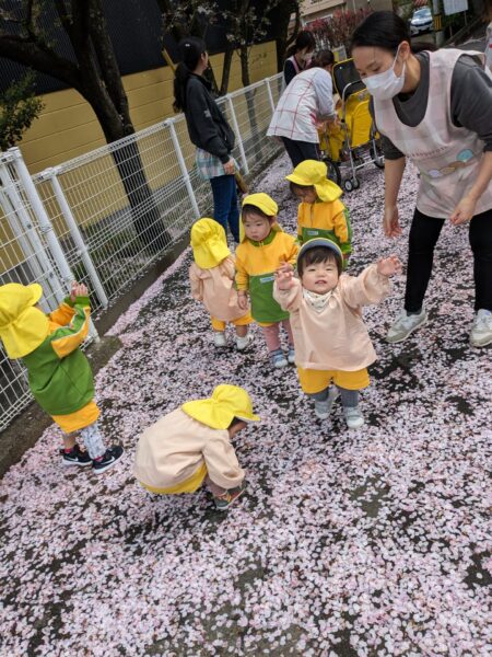 ４月9日りんごの木