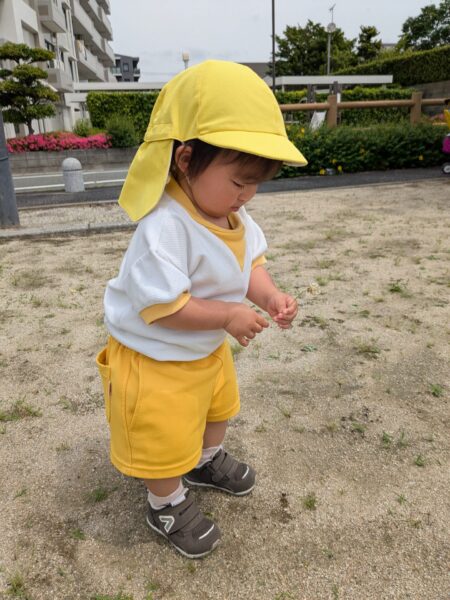 5/23  りんごの木