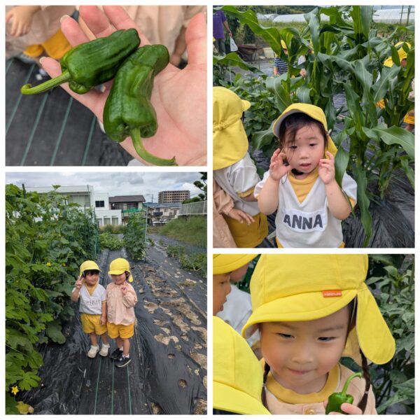 Gardening