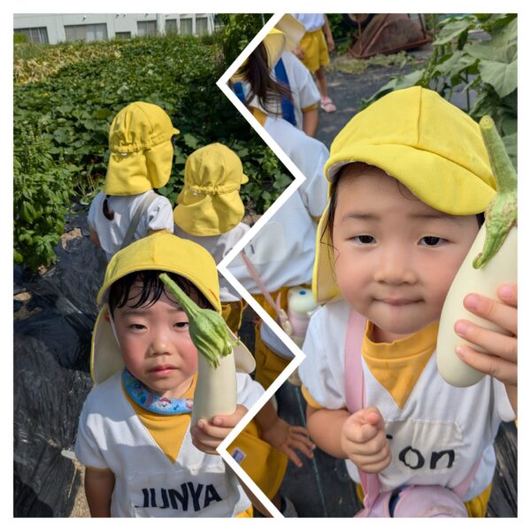 Gardening