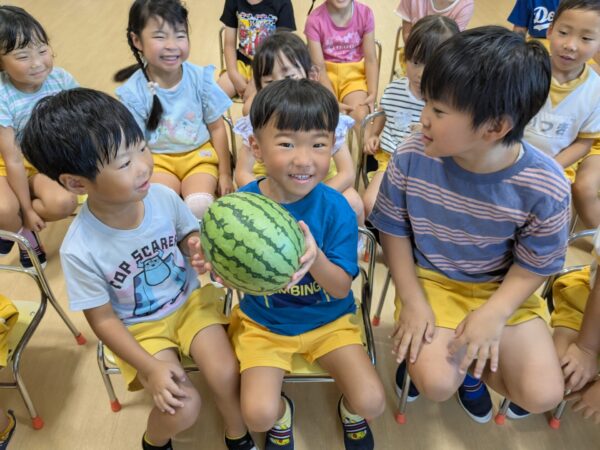 スイカの収穫