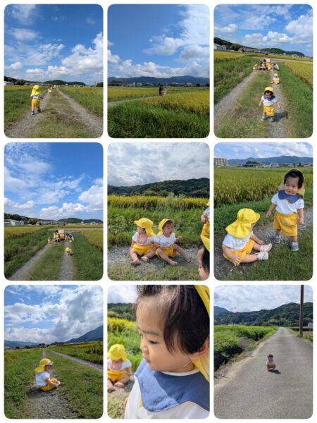 たんぽぽ組✿