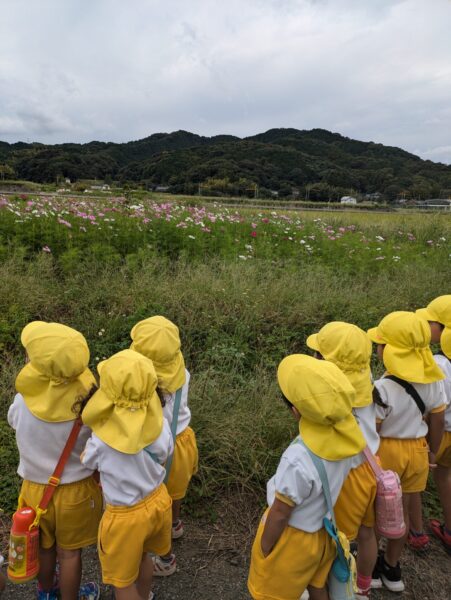 ゆり組