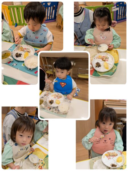 11月25日(火)ゆめのたね