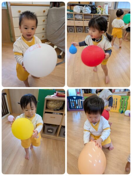 12月15日(月)ゆめのたね