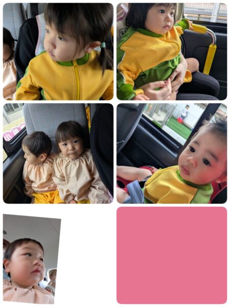 12月18日(木)ゆめのたね