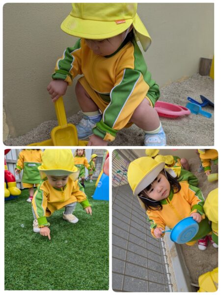 ゆめのたね1月27日(火)