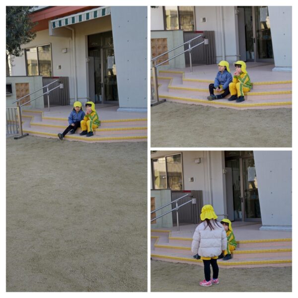 Koala’s daily life