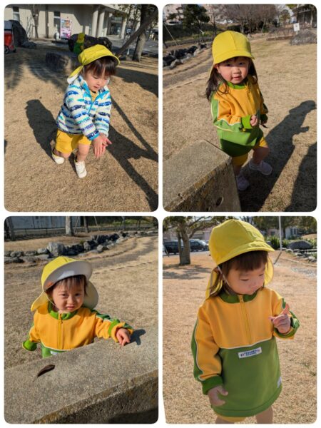 ゆめのたね2月13日(金)