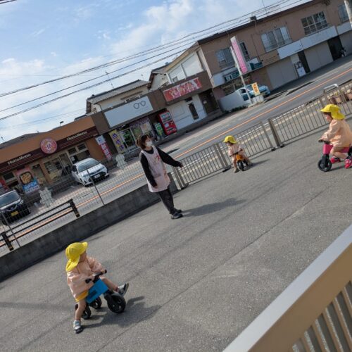 ゆめのたね3月24日(火)