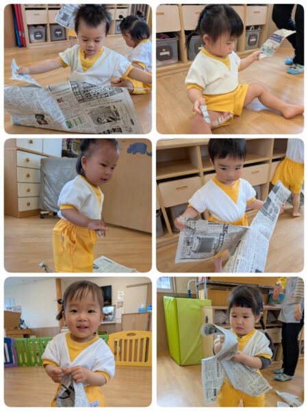 ゆめのたね4月19日(月)