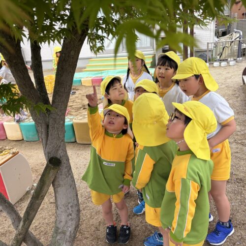 「あ、見つけた！」