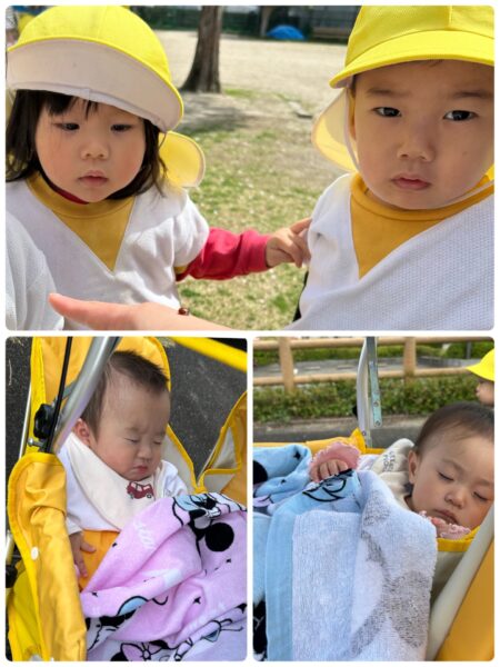 4/16 りんごの木