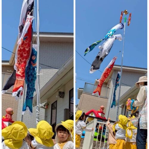 4/27  りんごの木