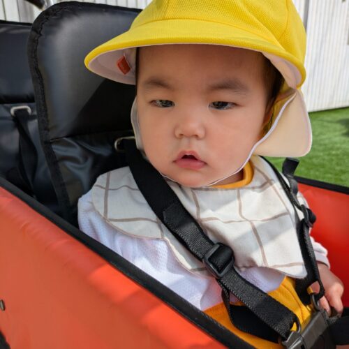 ゆめのたね4月6日(月)