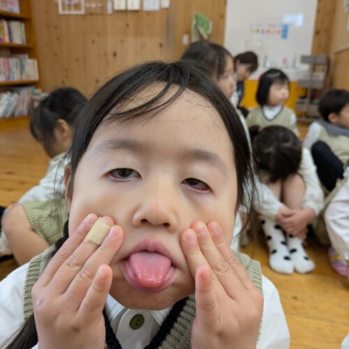 This week ‘s koala