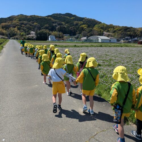 We went for a walk with Zebras!