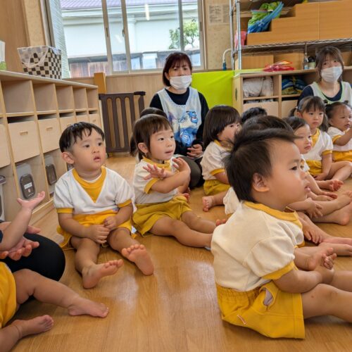 ゆめのたね4月28日(火)