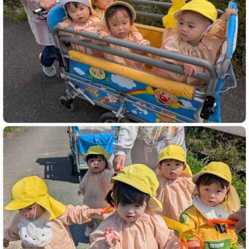 すみれ２組🐥