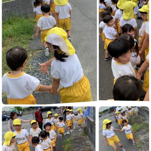 This week’s in 🐻Bear Class✨