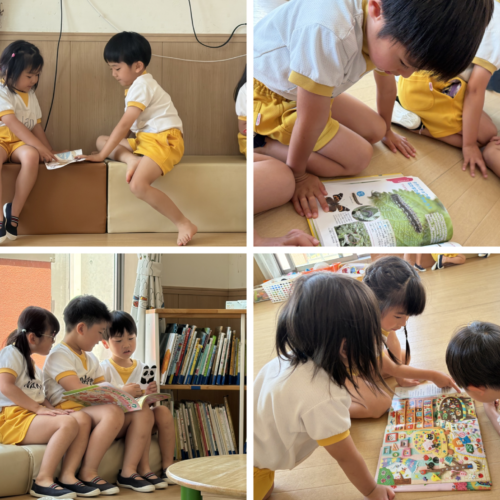 Lion class library time