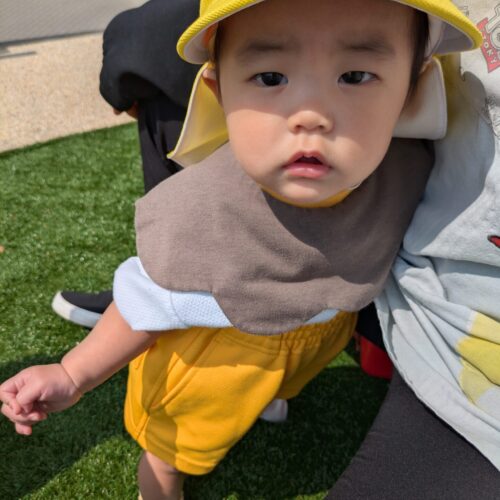 ゆめのたね5月1日(金)