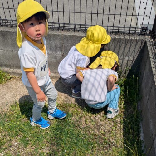 ももぐみ