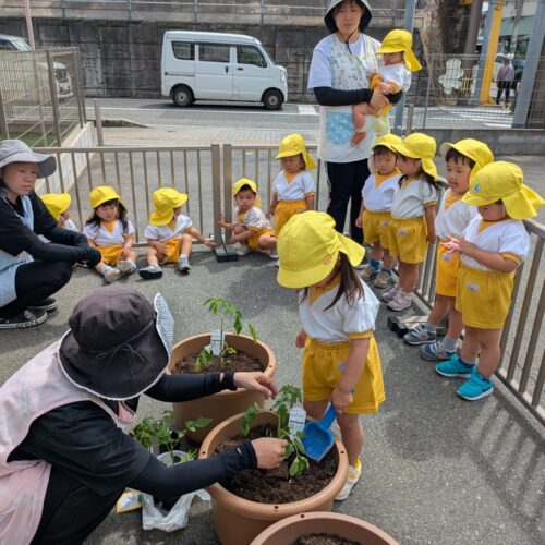 ゆめのたね5月26日(火)
