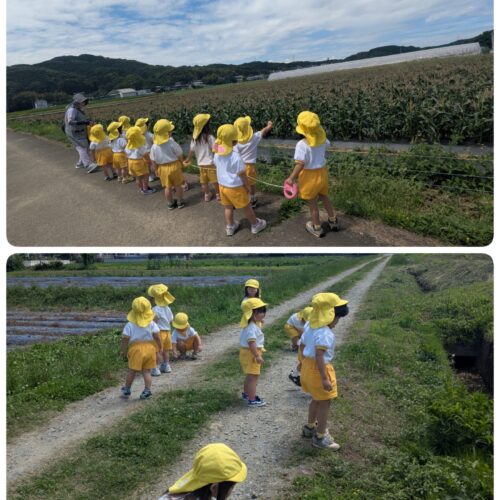 This week’s in Bear🐻Class🤗