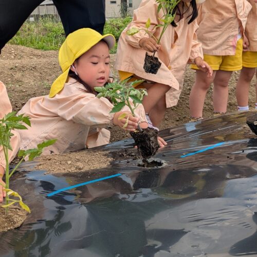 🌱GARDENING FUN TIME WITH ZEBRA CLASS