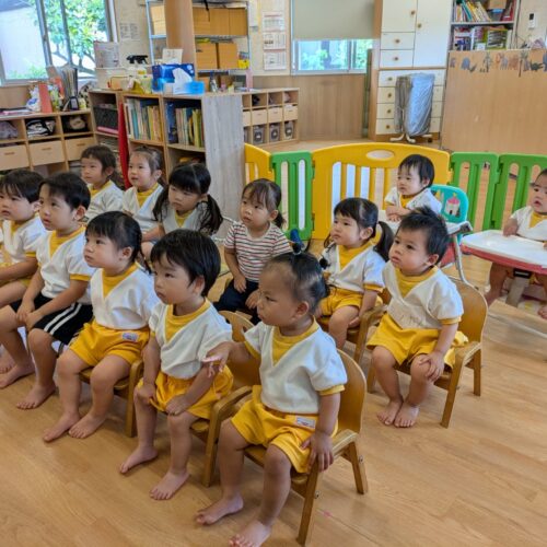 6月11日(木)ゆめのたね☀️