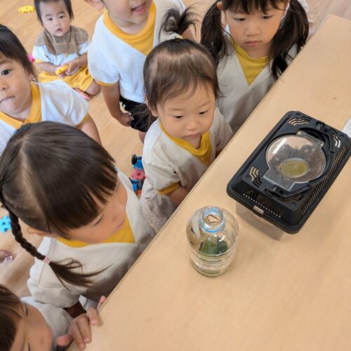 ゆめのたね6月22日(月)