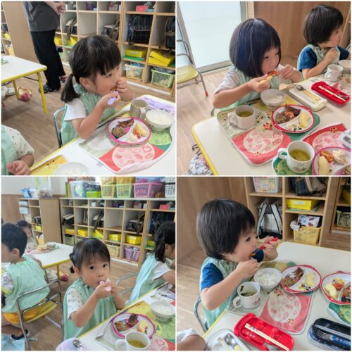 うめ組　トマトの収穫