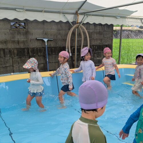 Zebra Class Takes On the Big BALL and Pool SPLASH! 🌊Go….!!!🦓